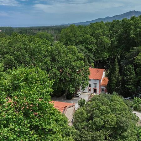 Gites Du Castell De Bles Saint-Génis Dış mekan fotoğraf