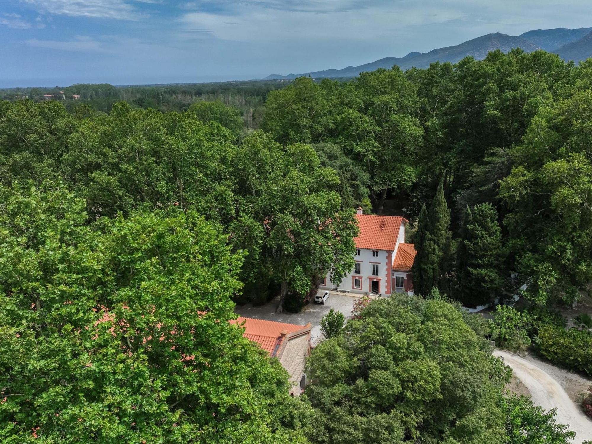Gites Du Castell De Bles Saint-Génis Dış mekan fotoğraf