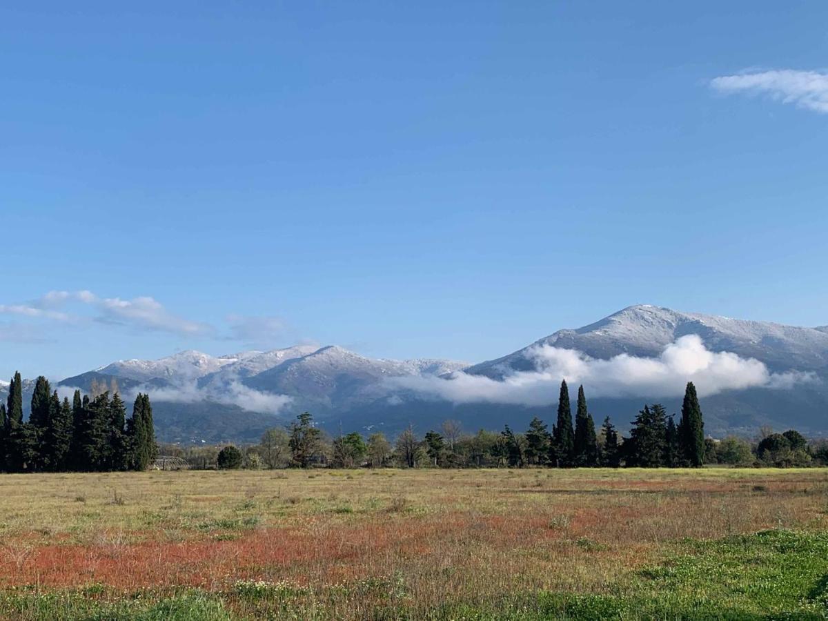 Gites Du Castell De Bles Saint-Génis Dış mekan fotoğraf